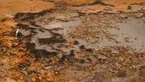 LoviSil protegge la connessione del cavo in terreni contaminati.